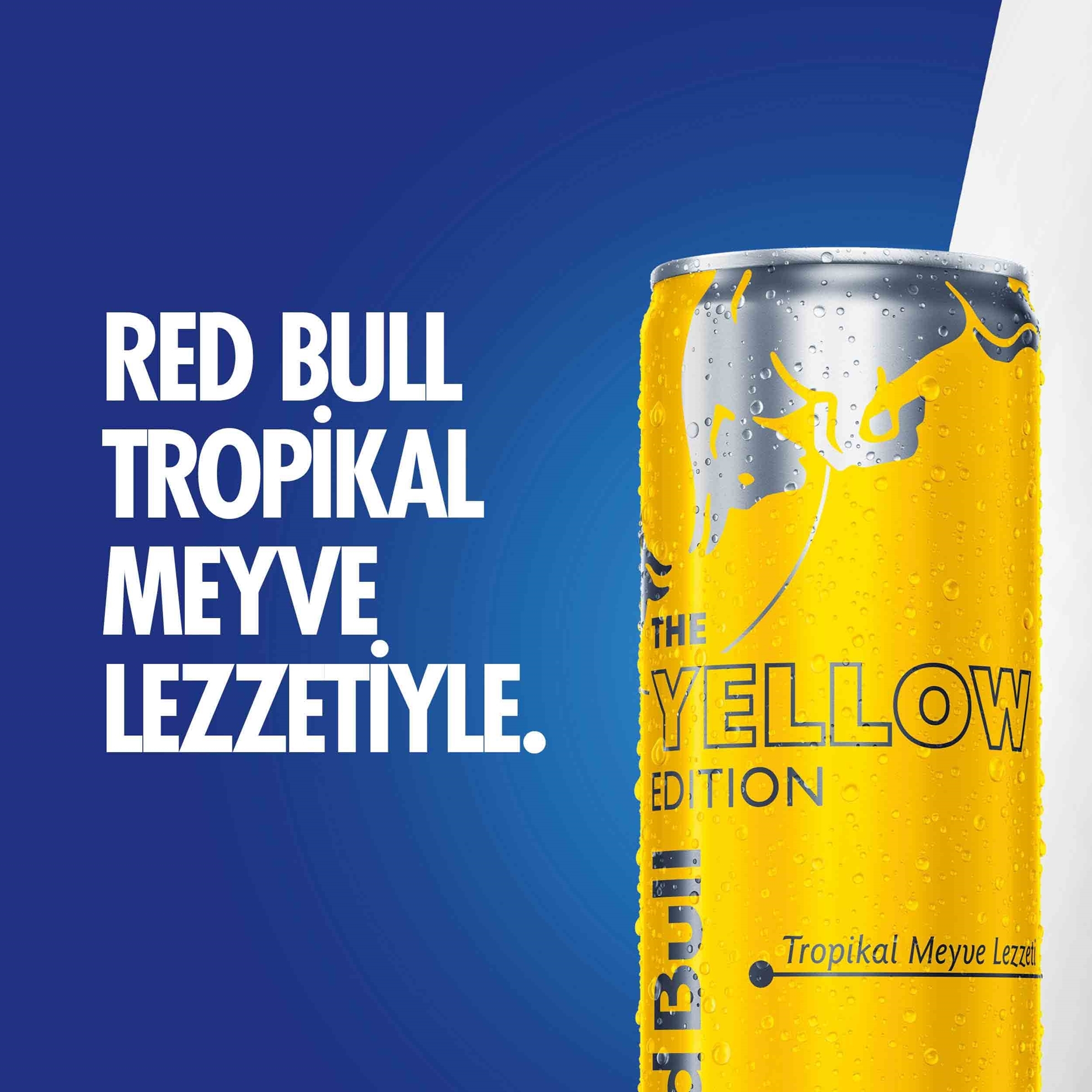 Red Bull Energy Drink 250 ml 24's Case Tropical Fruit 9002490234089 ...