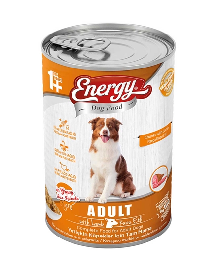 Energy Köpek Maması Islak 400 gr Kuzu Etli