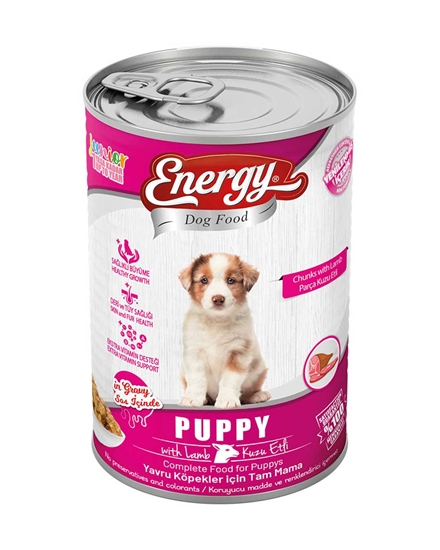 Energy ,enerji yavru Köpek maması 400 gr,kuzulu parça etli,pet shop,pet shop ürünleri,toptan satın al,toptan tr,toptan pet shop,toptan mağazacılık, ıslak mama, Köpek mamaları, Köpek maması fiyatları, toptan Köpek maması