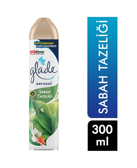 Picture of Glade Aerosol Air Freshener 300 Ml - Morning Freshness