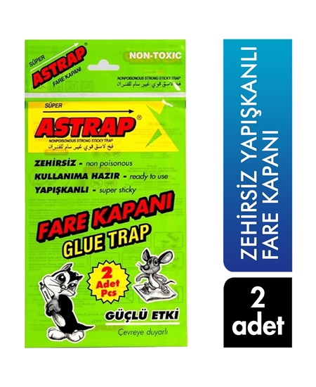 Picture of Astrap Non-Toxic Adhesive Paper Mouse Trap 2 Pieces