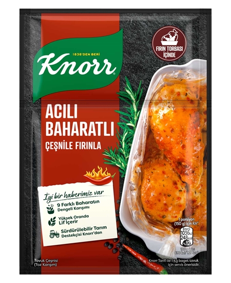 Picture of KNORR TAVUK ÇEŞNİ ACILI BAHARATLI 48X31G