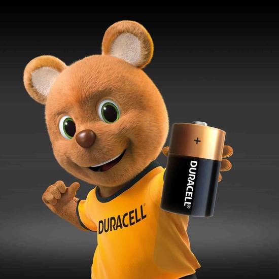 Picture of Duracell Basic Battery D Size 2's