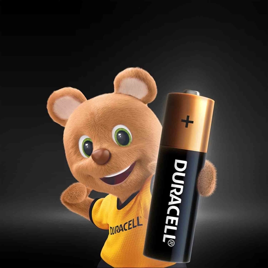 Duracell, AA pil, kalın kalem pil, kalem pil, pil, pil fiyatları, pil çeşitleri, kumanda pili, saat pili, kalın pil, kalem piller, toptan pil satın al, toptan duracell, duracell fiyatları