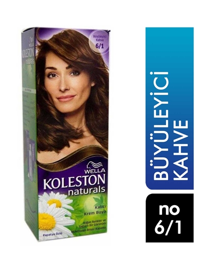 Picture of KOLESTON NATURALS MAXI SET 6/1