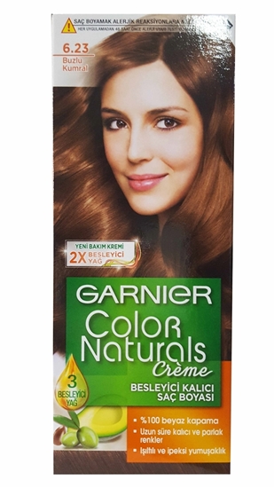 Picture of GARNIER COLOR NATURAL HAIR DYE 6/23