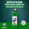 Picture of Domestos Bleach 750 Ml -  Mountain Breeze 