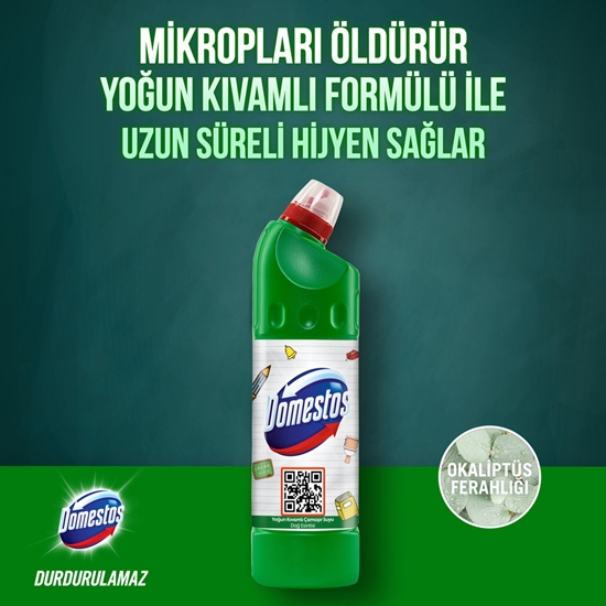 Picture of Domestos Bleach 750 Ml -  Mountain Breeze 