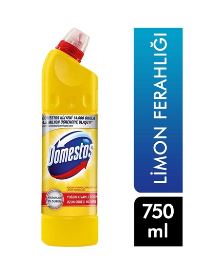 Picture of Domestos Bleach 750 Ml - Lemon Fresh