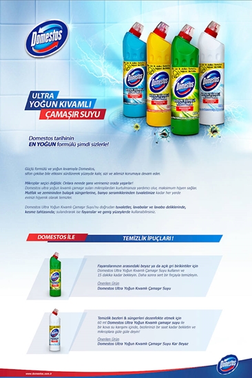 Picture of Domestos Bleach 750 Ml - Eucalyptus Freshness