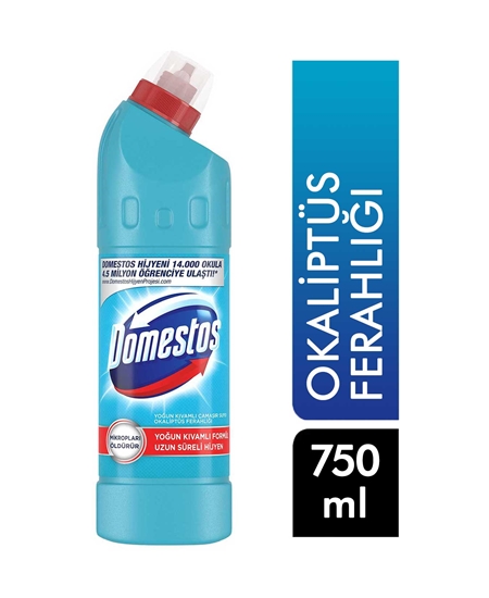 Picture of Domestos Bleach 750 Ml - Eucalyptus Freshness