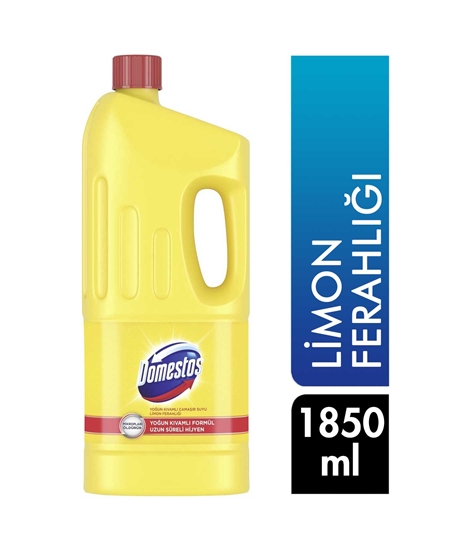 domestos, çamaşır suyu, hijyen, camasır suyu, yüzey temizleyici, klorak, kılorak, çamaşır suyu fiyatları, domestos fiyatları, çamaşır suyu satın al, temizlik ürünleri, toptan çamaşır suyu, toptan domestos