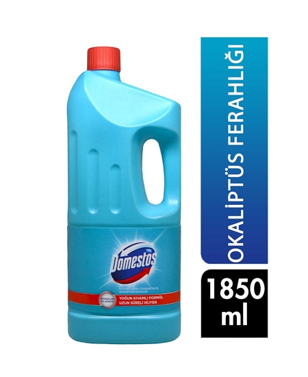 Picture of  Domestos Bleach 1850 ml Eucalyptus Freshness