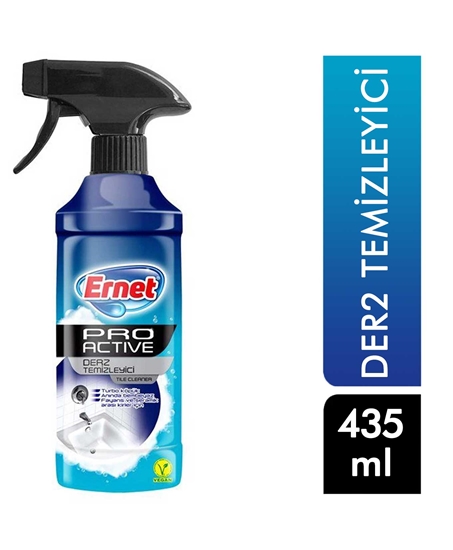 Picture of Ernet Pro Active 435 ml Derz Temizleyici