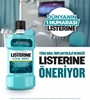 Picture of Listerine Ağız Bakım Suyu 250 ml Coolmint