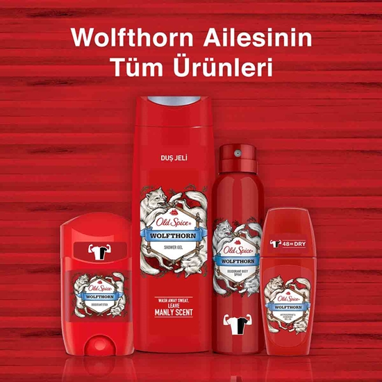 Picture of Old Spice Spray Deodorant 150 ml Wolfthorn