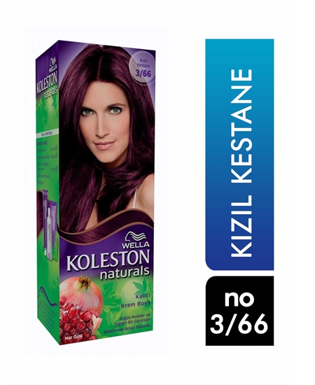 Picture of KOLESTON NATURALS MAXI SET 3/66