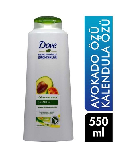 Picture of  Dove Shampoo 550 ml Avocado and Calendula Extract