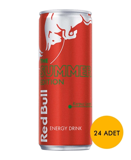 Picture of Red Bull Energy Drink 250 ml x 24's Pack Summer Edition Watermelon Delicious