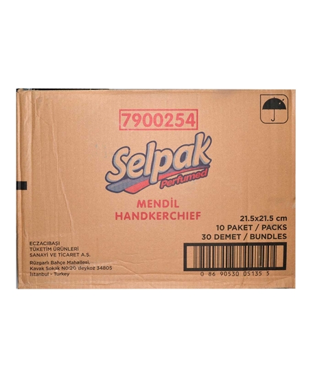 Picture of Selpak Mendil 10'lu Paket Bahar Çiçekleri