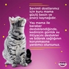 	whiskas, kedi maması, hayvan maması, kuru kedi maması, yaş kedi maması, poşet kedi maması, etli kedi maması, hayvansal gıda kedi maması, tahılsız kedi maması, kedi maması satın al, kedi maması fiyatları, toptan kedi maması	