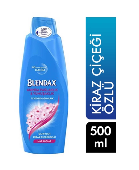 Picture of Blendax Shampoo 500 ml Freshness & Softness