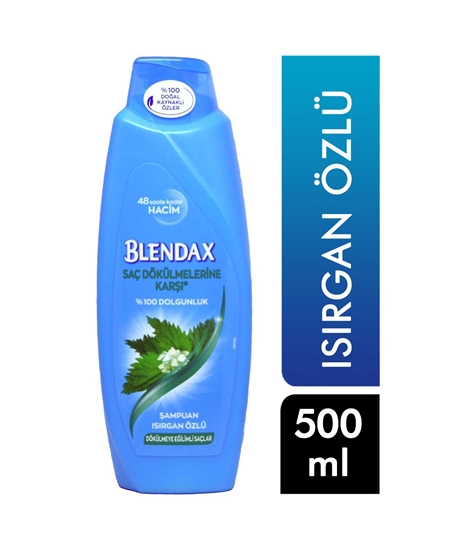 Picture of BLENDAX ŞAMPUAN 500ML*12 Isırgan Özlü