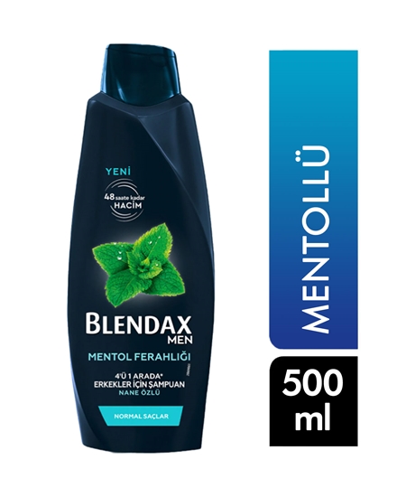 Picture of BLENDAX ŞAMPUAN 500ML*12 Mentol Erkek