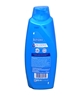 Picture of Blendax Shampoo 650 ml Care and Power