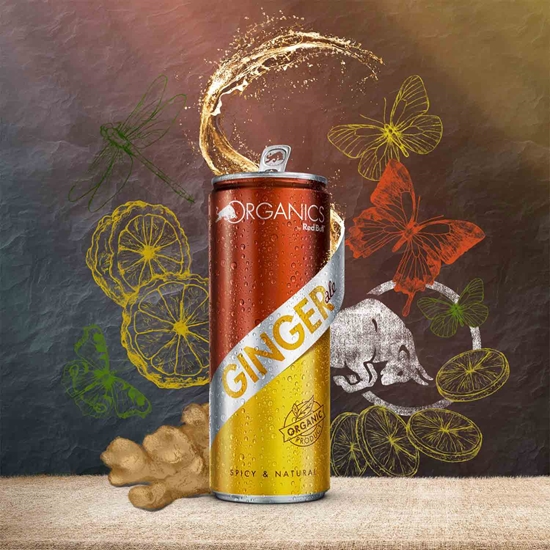 Picture of Red Bull Organic Ginger Ale 250 ml x 24'lü Koli