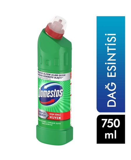 Picture of Domestos Bleach 750 Ml -  Mountain Breeze 